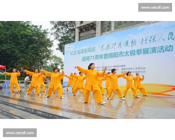 全民健身视角下体育文化活动的创新发展与社会影响研究